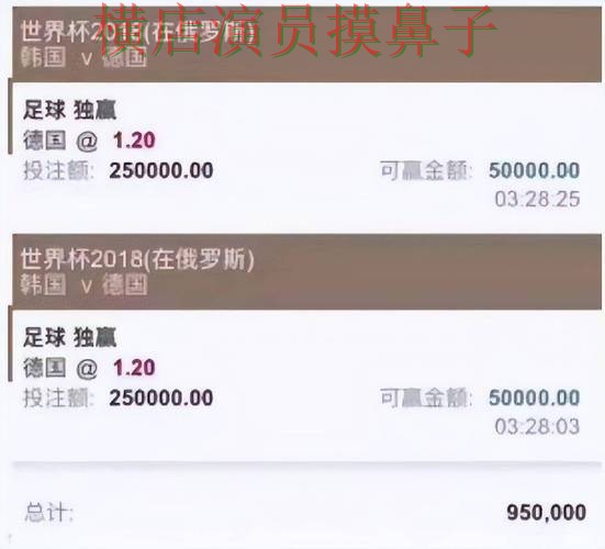 世界杯投注平台精选合集：覆盖玩法指南与入口方式 - 世界杯赛事中心